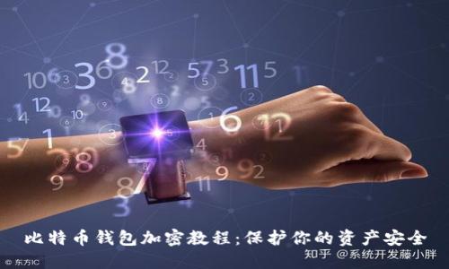 比特币钱包加密教程：保护你的资产安全