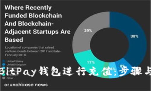 如何使用BitPay钱包进行充值：步骤与技巧详解