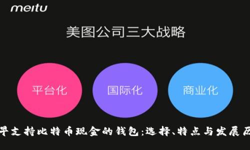 最早支持比特币现金的钱包：选择、特点与发展历程