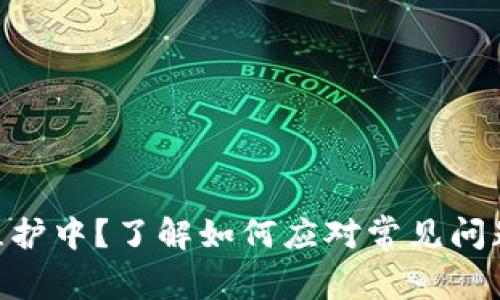  USDT钱包维护中？了解如何应对常见问题及解决方案