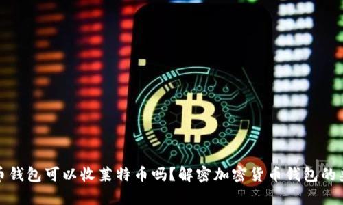 比特币钱包可以收莱特币吗？解密加密货币钱包的兼容性