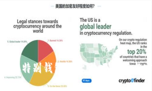 如何查看币特别钱包地址：全面指南与实用技巧