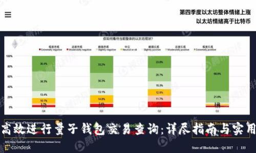 如何高效进行量子钱包交易查询：详尽指南与实用技巧