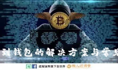 USDT汇不到钱包的解决方案与常见问题解析