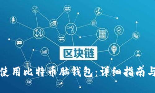 如何安全使用比特币脑钱包：详细指南与实用技巧