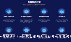 如何解决Bitcoin钱包密码无