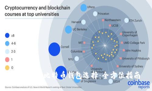 最安全的比特币钱包选择：全方位指南