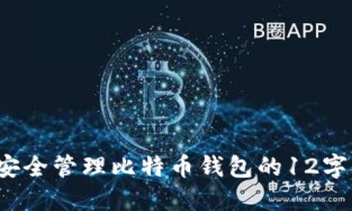 如何安全管理比特币钱包的12字短语？