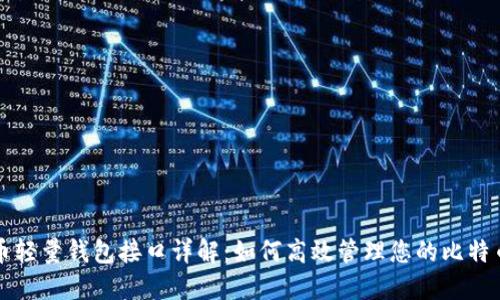 比特币轻量钱包接口详解：如何高效管理您的比特币资产