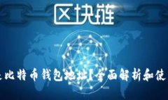 什么是比特币钱包地址？