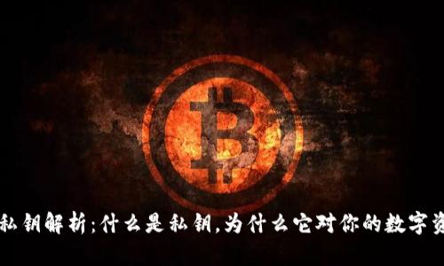 虚拟币钱包私钥解析：什么是私钥，为什么它对你的数字资产至关重要