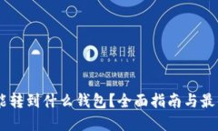 USDT能转到什么钱包？全面指南与最佳选择