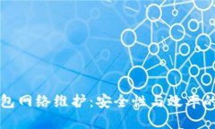 区块链钱包网络维护：安全性与效率的提升策略