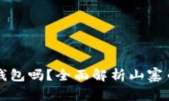 山寨币可以放钱包吗？全
