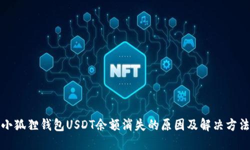 小狐狸钱包USDT余额消失的原因及解决方法