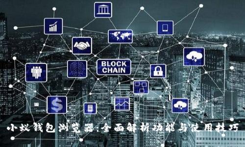 小蚁钱包浏览器：全面解析功能与使用技巧