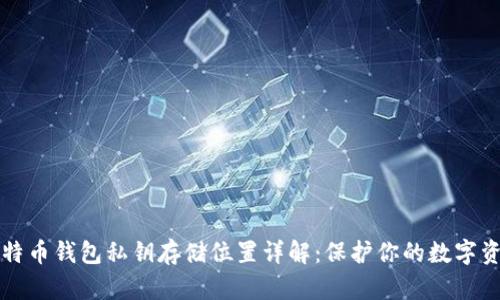 比特币钱包私钥存储位置详解：保护你的数字资产