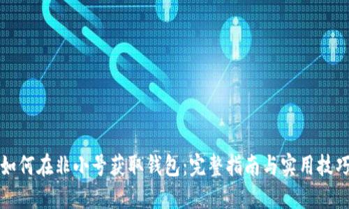 如何在非小号获取钱包：完整指南与实用技巧