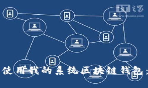 如何安全使用我的系统区块链钱包：完整指南