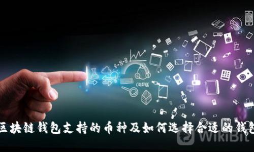 区块链钱包支持的币种及如何选择合适的钱包