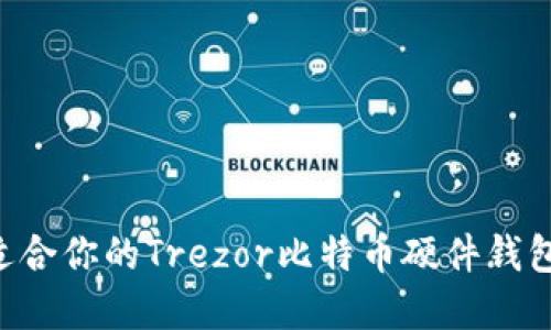 如何选择适合你的Trezor比特币硬件钱包：全面指南