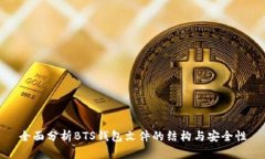全面分析BTS钱包文件的结