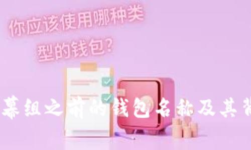 CVNT字幕组之前的钱包名称及其背景解析