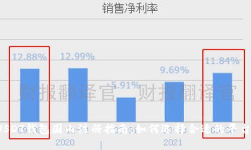 USDT钱包国内注册指南：如何选择合适的平台？
