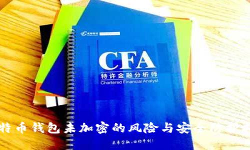 比特币钱包未加密的风险与安全防护指南