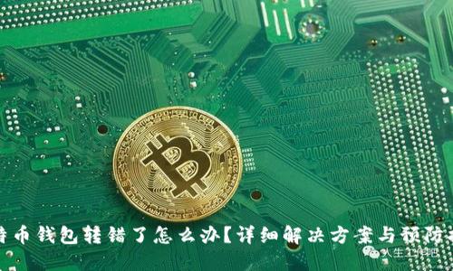 比特币钱包转错了怎么办？详细解决方案与预防措施