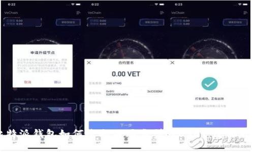 比特派钱包如何收取不同类型的USDT：全面指南