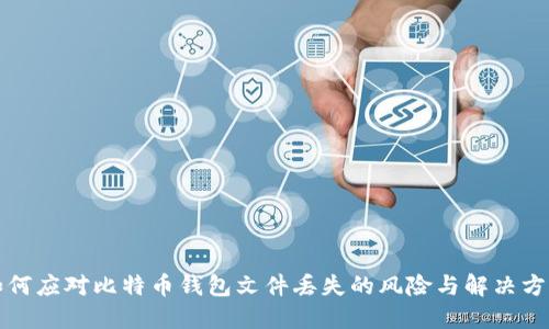 如何应对比特币钱包文件丢失的风险与解决方案
