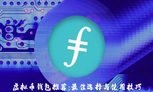 
虚拟币钱包推荐：最佳选择与使用技巧