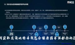 如何获取高清比特币钱包余额截图并保护你的隐
