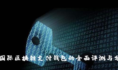 VP国际区块链支付钱包的全面评测与分析