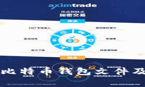 如何查看比特币钱包文件及解析方法