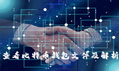 如何查看比特币钱包文件及解析方法