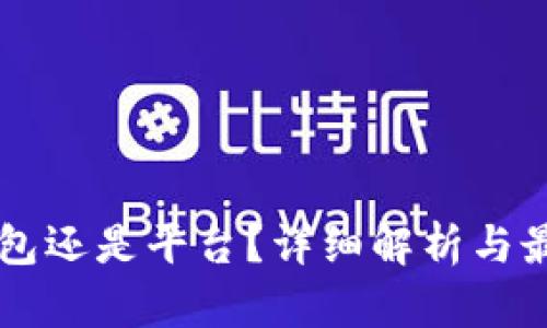 虚拟币放钱包还是平台？详细解析与最佳选择指南