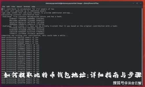 如何提取比特币钱包地址：详细指南与步骤