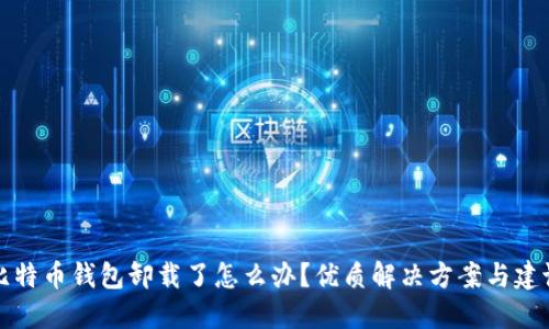 比特币钱包卸载了怎么办？优质解决方案与建议
