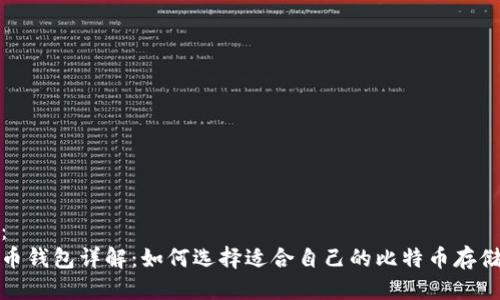 提案：
比特币钱包详解：如何选择适合自己的比特币存储方案