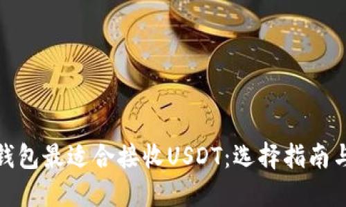 哪种钱包最适合接收USDT：选择指南与比较