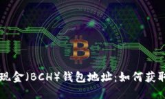 比特币现金（BCH）钱包地
