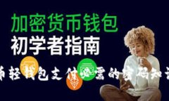 比特币轻钱包支付必需的