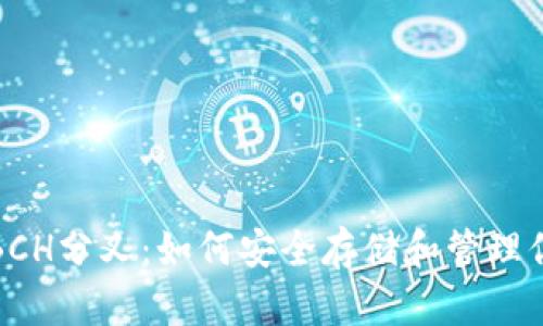 硬件钱包与BCH分叉：如何安全存储和管理你的加密资产
