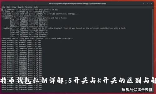 比特币钱包私钥详解：5开头与K开头的区别与解析