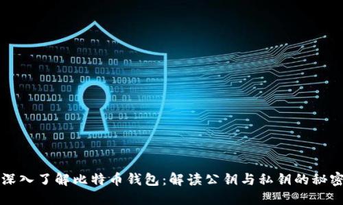 深入了解比特币钱包：解读公钥与私钥的秘密