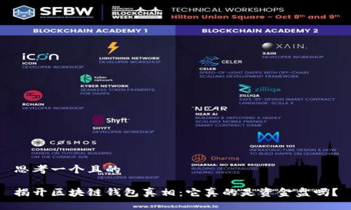 思考一个且的

揭开区块链钱包真相：它真的是资金盘吗？