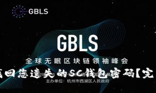 如何找回您遗失的SC钱包密码？完美指南