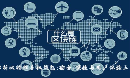 全面解析比特股手机钱包：安全、便捷与用户体验三重保障